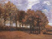 Vincent Van Gogh Autumn Landscape (nn04) oil